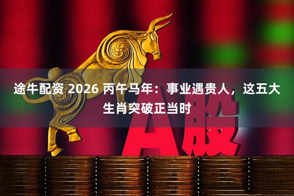 途牛配资 2026 丙午马年：事业遇贵人，这五大生肖突破正当时