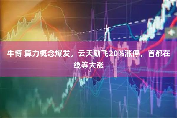 牛博 算力概念爆发，云天励飞20%涨停，首都在线等大涨