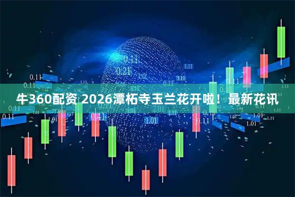牛360配资 2026潭柘寺玉兰花开啦！最新花讯