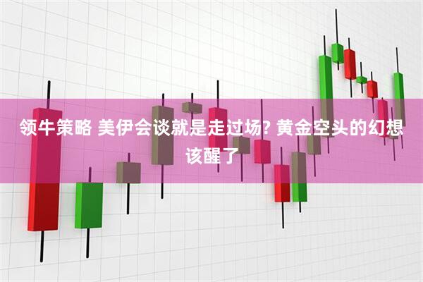 领牛策略 美伊会谈就是走过场? 黄金空头的幻想该醒了