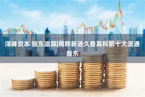泽峰资本 股东追踪|周晔新进久吾高科前十大流通股东