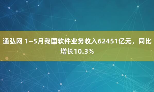 通弘网 1—5月我国软件业务收入62451亿元，同比增长10.3%
