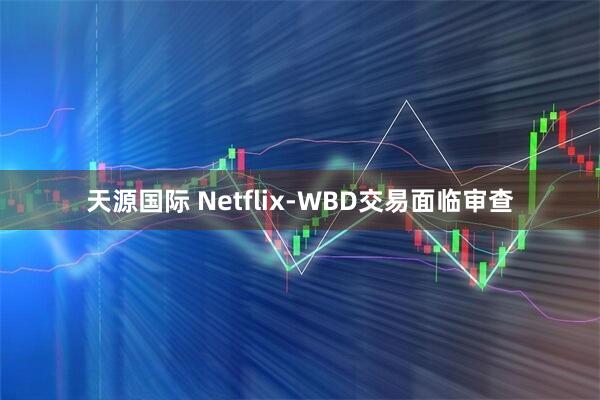天源国际 Netflix-WBD交易面临审查