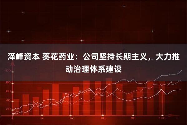 泽峰资本 葵花药业：公司坚持长期主义，大力推动治理体系建设