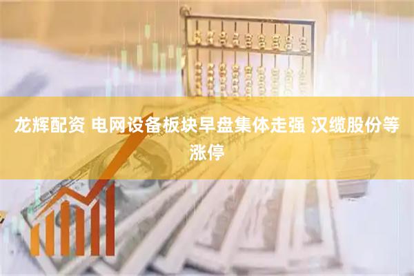 龙辉配资 电网设备板块早盘集体走强 汉缆股份等涨停