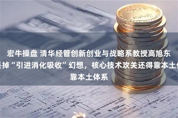 宏牛操盘 清华经管创新创业与战略系教授高旭东：丢掉“引进消化吸收”幻想，核心技术攻关还得靠本土体系