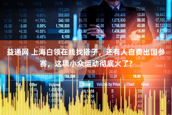 益通网 上海白领在线找搭子，还有人自费出国参赛，这项小众运动彻底火了?