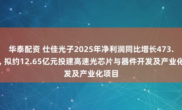 华泰配资 仕佳光子2025年净利润同比增长473.25%, 拟约12.65亿元投建高速光芯片与器件开发及产业化项目