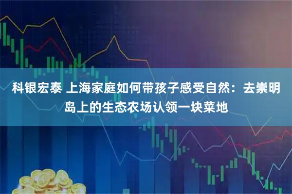 科银宏泰 上海家庭如何带孩子感受自然：去崇明岛上的生态农场认领一块菜地