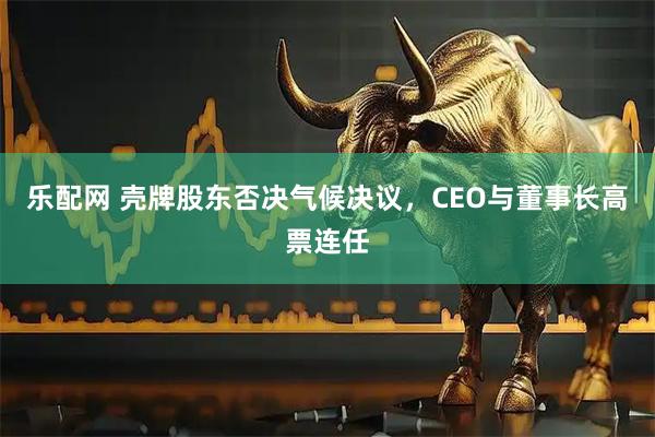 乐配网 壳牌股东否决气候决议，CEO与董事长高票连任