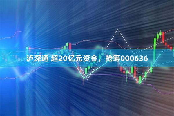 泸深通 超20亿元资金，抢筹000636