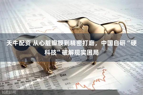 天牛配资 从心脏瓣膜到精密打磨，中国自研“硬科技”破解现实困局