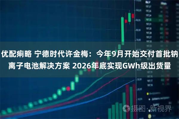 优配痢略 宁德时代许金梅：今年9月开始交付首批钠离子电池解决方案 2026年底实现GWh级出货量