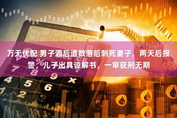 万无优配 男子酒后遭数落后刺死妻子，两天后报警，儿子出具谅解书，一审获刑无期