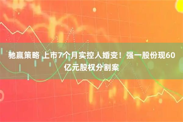 驰赢策略 上市7个月实控人婚变!强一股份现60亿元股权分割案