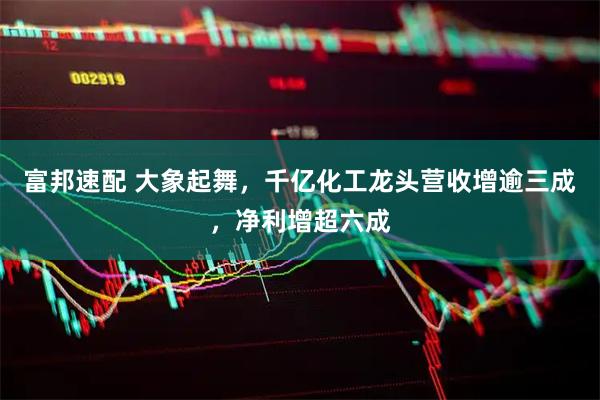 富邦速配 大象起舞，千亿化工龙头营收增逾三成，净利增超六成