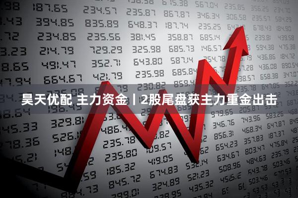 昊天优配 主力资金丨2股尾盘获主力重金出击